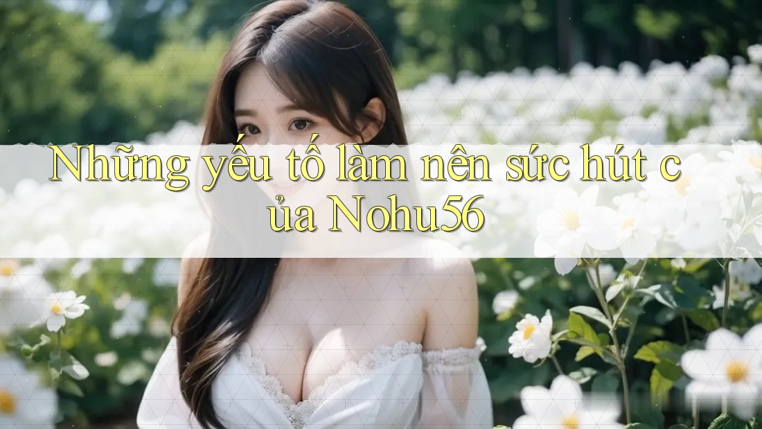 Những yếu tố làm nên sức hút của Nohu56