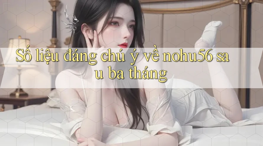 Số liệu đáng chú ý về nohu56 sau ba tháng Số liệu đáng chú ý về nohu56 sau ba tháng