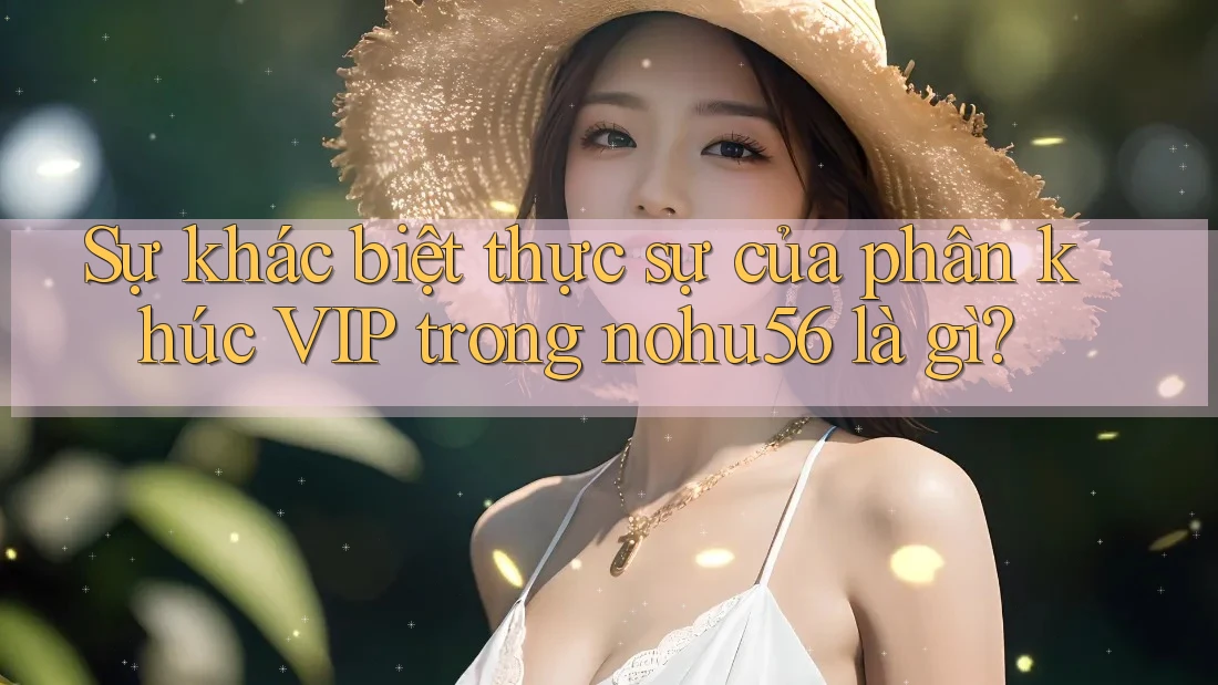 Sự khác biệt thực sự của phân khúc VIP trong nohu56 là gì?